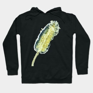 Hot pepper flower stamen with pollen under the microscope Hoodie